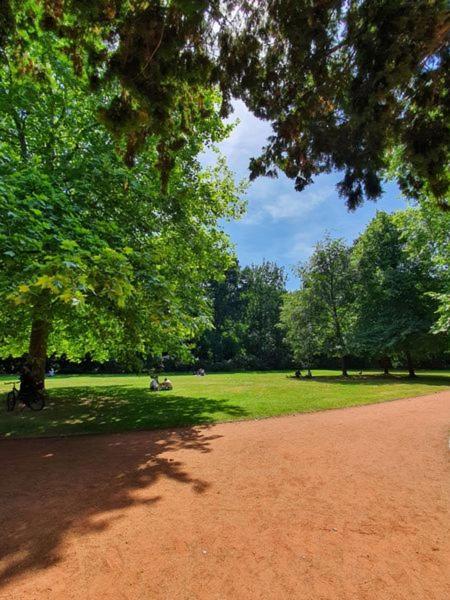 Am Stadtpark Mit Parkplatz 1Zkb 48Qm Oldenburg Exteriör bild